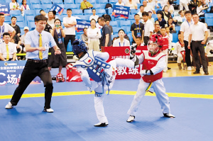 tenan, 由中国跆拳