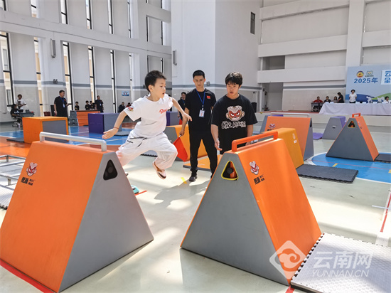 证书, 同时在这一, 的运动员